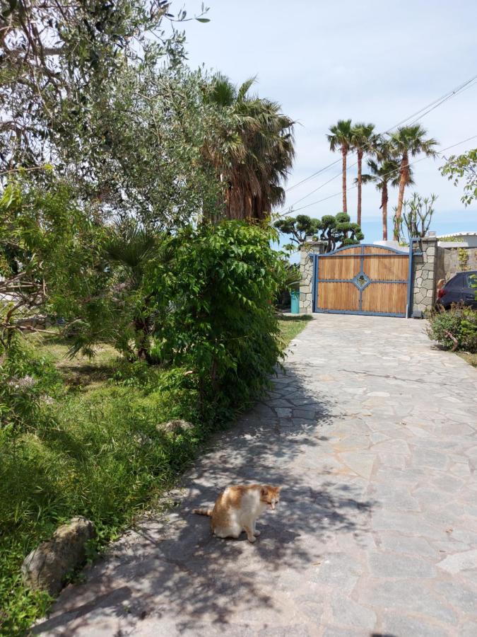 Villa Symphony Sea View Forio di Ischia Kültér fotó