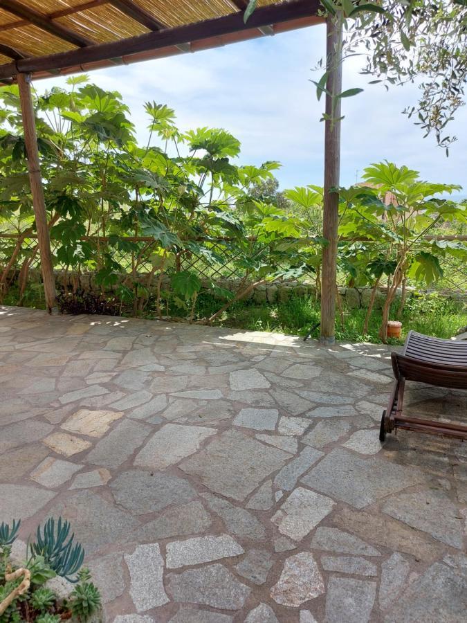 Villa Symphony Sea View Forio di Ischia Kültér fotó