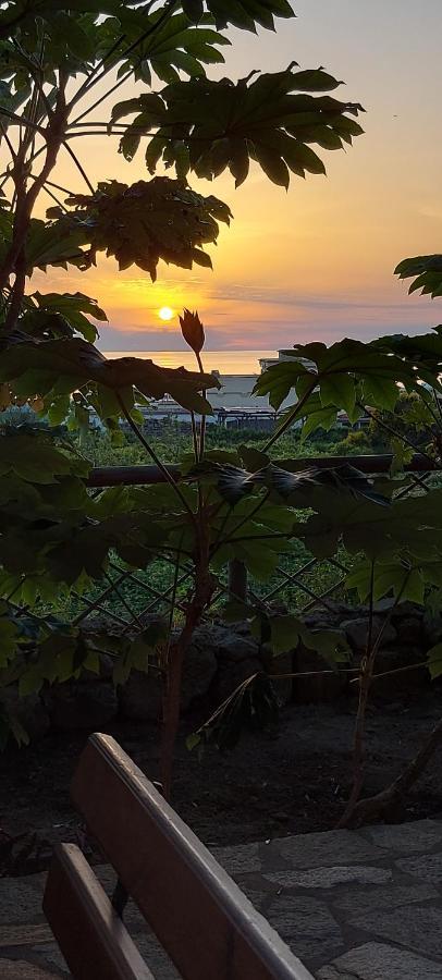 Villa Symphony Sea View Forio di Ischia Kültér fotó