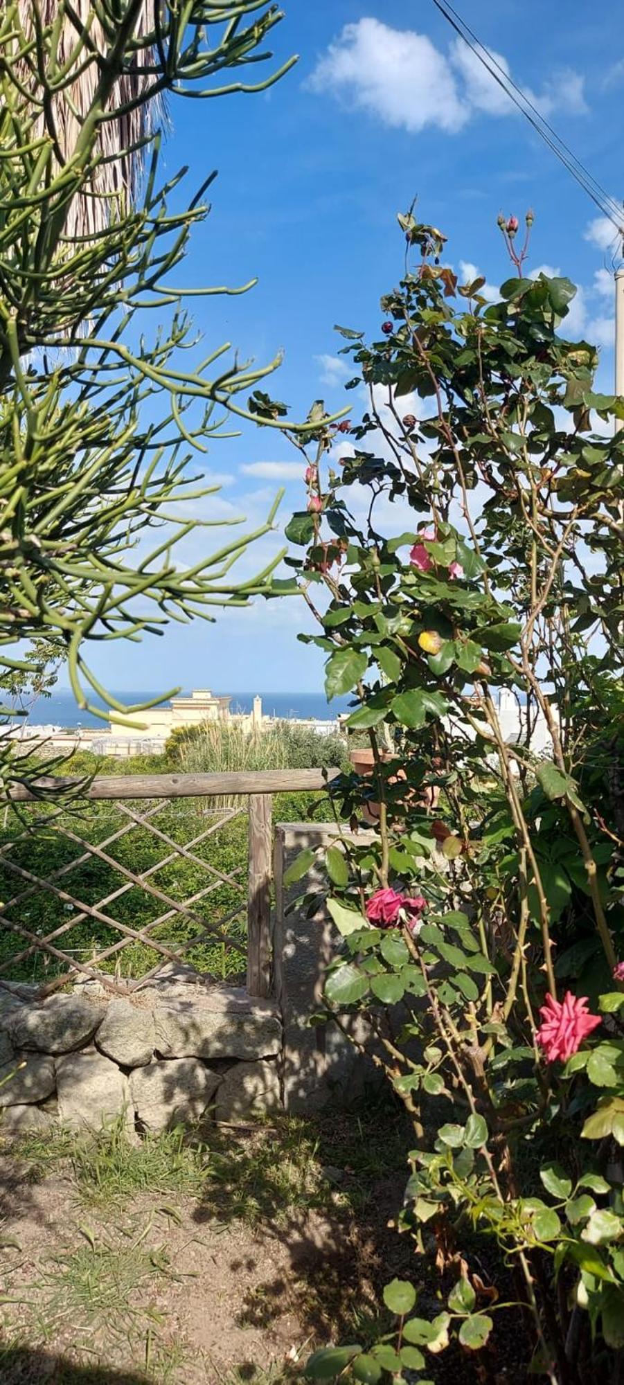 Villa Symphony Sea View Forio di Ischia Kültér fotó