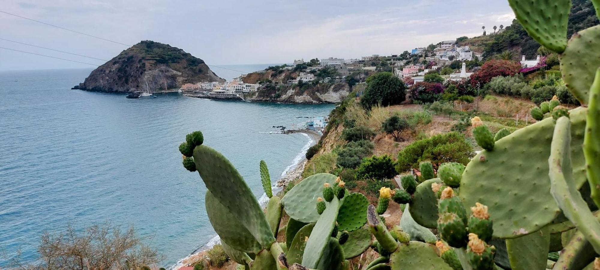 Villa Symphony Sea View Forio di Ischia Kültér fotó